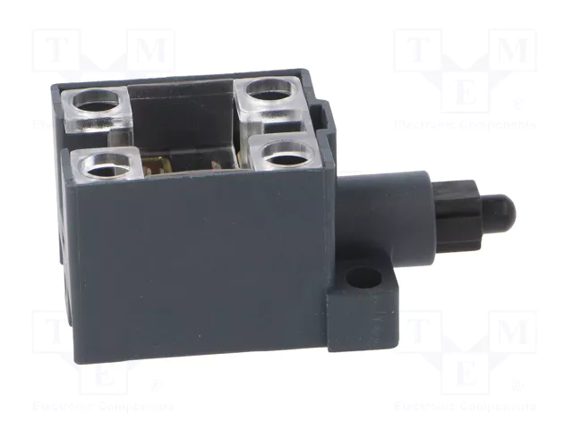 PIZZATO ELETTRICA Interruptor de fin de carrera con husillo de plástico NO x2 10A