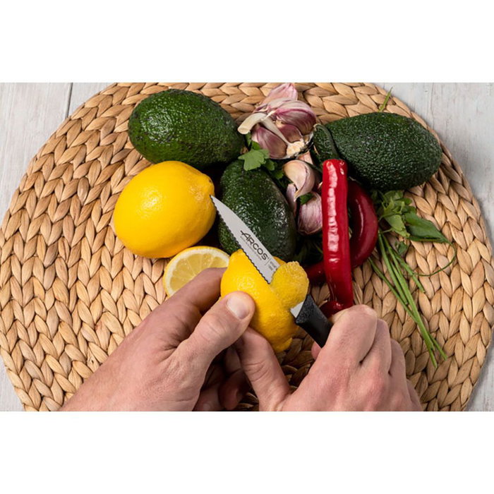 Arcos Cuchillo Mondador Sierra Nova 100 mm Acero Inoxidable Nitrum Mango Polipropileno