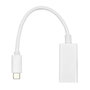 ProXtend Cable USB-C a Mini DisplayPort 20cm Blanco