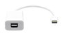 ProXtend Cable USB-C a Mini DisplayPort 20cm Blanco