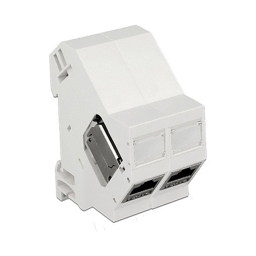 DeLOCK 86414 Soporte Keystone para Rieles DIN con rotación de 180°