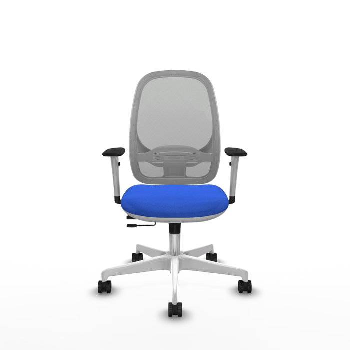 PIQUERAS Y CRESPO Silla de oficina Cilanco con mecanismo Sincro/Traslack, Azul y Gris PIQUERAS Y CRESPO Silla de oficina Cilanco con mecanismo Sincro/Traslack, Azul y Gris