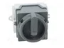 ABB Interruptor de leva 20A con 2 posiciones estables y carcasa gris