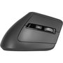 Rapoo EV310M Ratón Ergonómico Inalámbrico Antracita