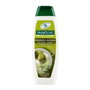 PALMOLIVE Champú Oliva para cabellos largos 350 ml