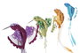 DKD Home Decor Decoración Colibrí Foam Poliéster 11x5x13 Surtido de 4