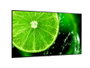 Sharp MultiSync E758 Pantalla para señalización digital 75 4K UHD Negro