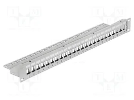 DeLOCK Patch Panel Keystone 24 Puertos 19 pulgadas Gris 43302