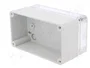 ELEKTRO-PLAST NASIELSK Carcasa Universal Industrial Gris IP65