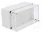 ELEKTRO-PLAST NASIELSK Carcasa Universal Industrial Gris IP65