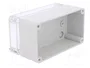 ELEKTRO-PLAST NASIELSK Carcasa Universal Industrial Gris IP65