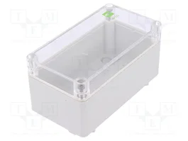 ELEKTRO-PLAST NASIELSK Carcasa Universal Industrial Gris IP65
