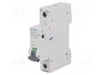 SIEMENS 5SL6110-7 Interruptor magnetotérmico 10A 1P Característica C