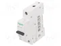 SCHNEIDER ELECTRIC ACTI9 MCB Interruptor magnetotérmico 20A 1P 6kA