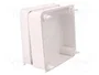 ELEKTRO-PLAST NASIELSK Caja de conexiones EP-LUX blanca IP55