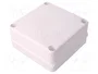 ELEKTRO-PLAST NASIELSK Caja de conexiones EP-LUX blanca IP55