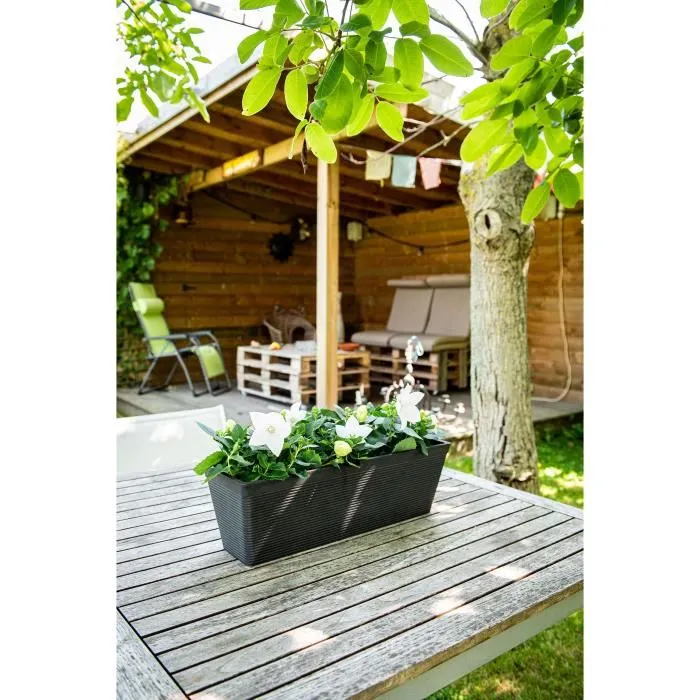 Garden Id Jardinera Green Care Impact Black-Anth 50 x 16 x 16 cm 10 años de garantía 100% reciclado Resistente UV/gel Garden Id Jardinera Green Care Impact Black-Anth 50 x 16 x 16 cm 10 años de garantía 100% reciclado Resistente UV/gel