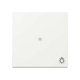 GIRA 367403 Placa frontal de control con símbolos de luz System 55 Blanco