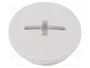 LAPP Tapón SKINDICHT® M20 1,5 IP68 Gris Claro