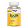 Solaray Nutritionally Balanced B-Stress 100 Cápsulas