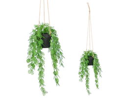 Ibergarden Planta Hoja Partida Colgar Mediana Verde y Negra 27x36x17 cm (Set de 12)