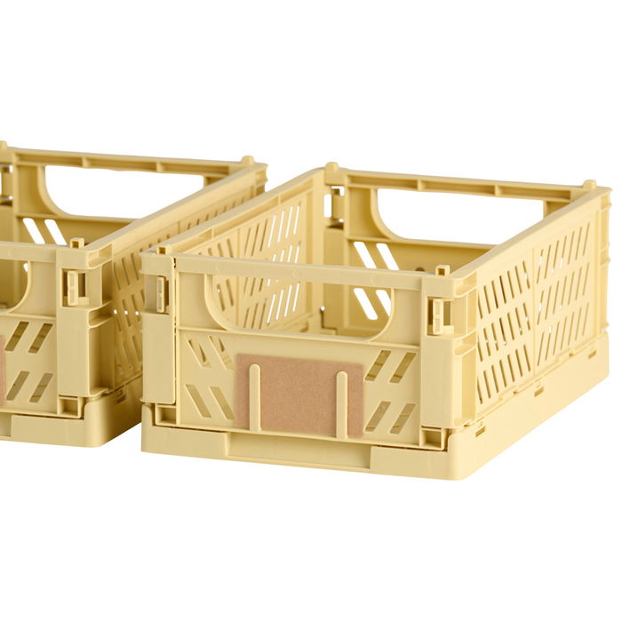 Day Juego de 2 Cajas Plegables de Almacenaje Amarillas 25x16.5x10 cm Capacidad 3.3 L Carga 10 kg