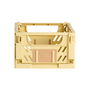 Day Juego de 2 Cajas Plegables de Almacenaje Amarillas 25x16.5x10 cm Capacidad 3.3 L Carga 10 kg