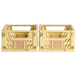 Day Juego de 2 Cajas Plegables de Almacenaje Amarillas 25x16.5x10 cm Capacidad 3.3 L Carga 10 kg