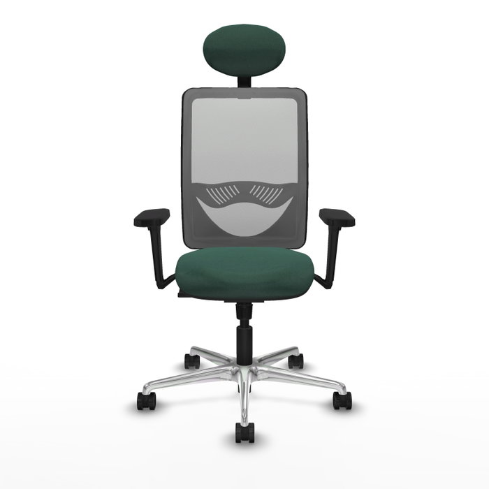 PIQUERAS Y CRESPO Silla de oficina Zulema con mecanismo Sincro, Verde botella y Gris PIQUERAS Y CRESPO Silla de oficina Zulema con mecanismo Sincro, Verde botella y Gris
