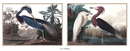 DKD Home Decor Cuadro de Lienzo Garza Surtido de 2 Unidades