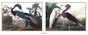 DKD Home Decor Cuadro de Lienzo Garza Surtido de 2 Unidades