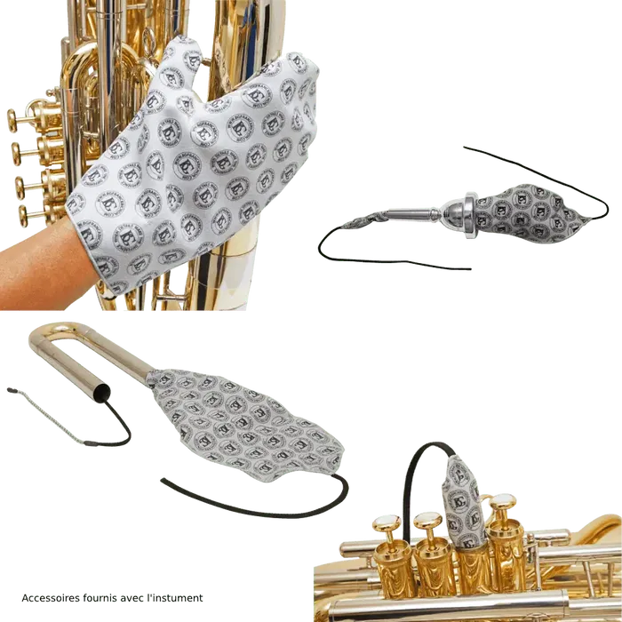 SML Bombardino Eu50 Sml Alto 62cm Ancho 48cm Largo 85cm Instrumento Musical de Viento