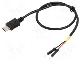 DeLOCK 85420 Cable USB tipo C a 2 terminales de poste 30 cm