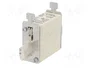 Mersen 1B647.000000 Fusible NH000 40A gG 500V