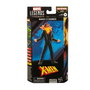 Hasbro Marvel Legends Series X-Men Figura Articulada de 15 cm con Accesorios