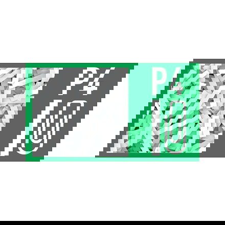 Leitz IQ Autofeed Small Office 100 Trituradora de Papel 80110000, Corte Cruzado 4 x 30 mm, 250 Hojas, 34 L, 55 dB, P-4, Blanco y Gris