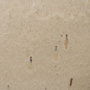 Ixia Pack de 2 Maceteros de Cerámica Crema 55x55 cm