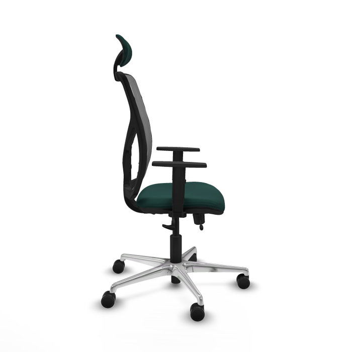 PIQUERAS Y CRESPO Silla de oficina Motilla con mecanismo Sincro/Traslack Verde botella PIQUERAS Y CRESPO Silla de oficina Motilla con mecanismo Sincro/Traslack Verde botella