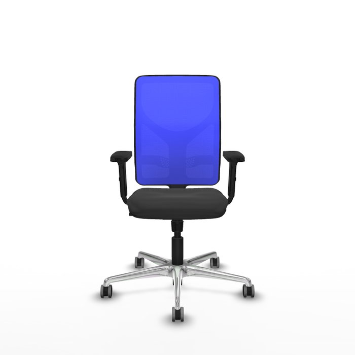 PIQUERAS Y CRESPO Silla de oficina Motilla con mecanismo Sincro, Gris oscuro y Azul PIQUERAS Y CRESPO Silla de oficina Motilla con mecanismo Sincro, Gris oscuro y Azul