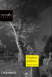 Tríptico ártabro, Ánxeles Penas - LAIOVENTO (IBD)