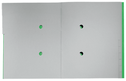 Leitz 39150055 Carpeta Clasificadora de Cartón 12 Posiciones A4 Recycle 100% Verde Certificado Climate Neutral