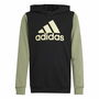 Sudadera con Capucha Hombre Adidas Essentials Verde