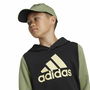 Sudadera con Capucha Hombre Adidas Essentials Verde