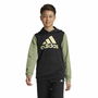 Sudadera con Capucha Hombre Adidas Essentials Verde