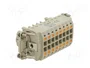 LAPP Conector Industrial EPIC® H-BE 016 FQL 17-32 HDC