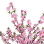 Ixia Árbol de Melocotonero Rosa de 180 cm