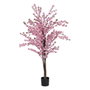 Ixia Árbol de Melocotonero Rosa de 180 cm