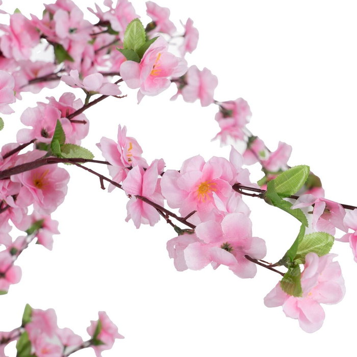 Ixia Árbol de Melocotonero Rosa de 180 cm