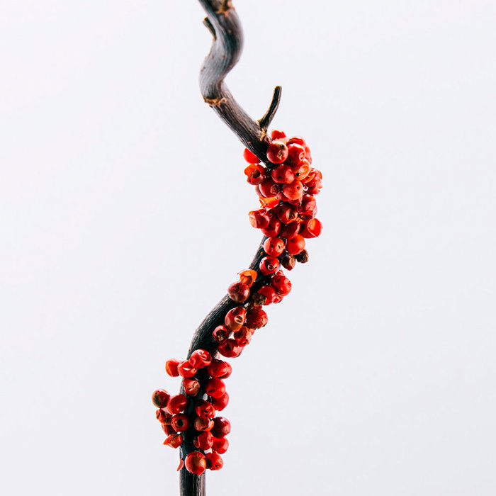 Loewe Cofre Regalo 7 EDT 100ml 3 u Hombre