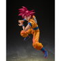 TAMASHII NATIONS S.H.Figuarts Super Saiyan God Son Goku (God Aura) Dragon Ball Super